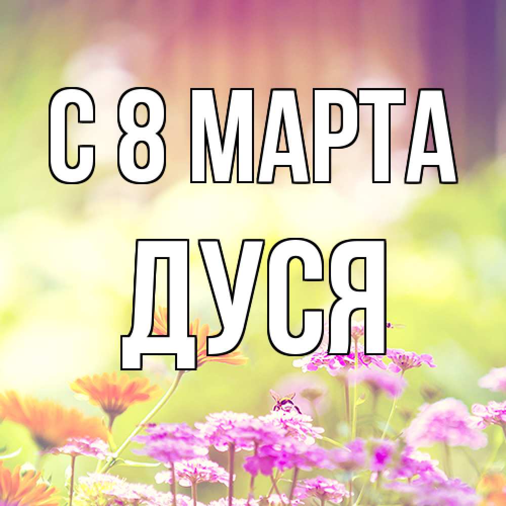 Открытка на каждый день с именем, Дуся C 8 МАРТА цветы весна Прикольная открытка с пожеланием онлайн скачать бесплатно 