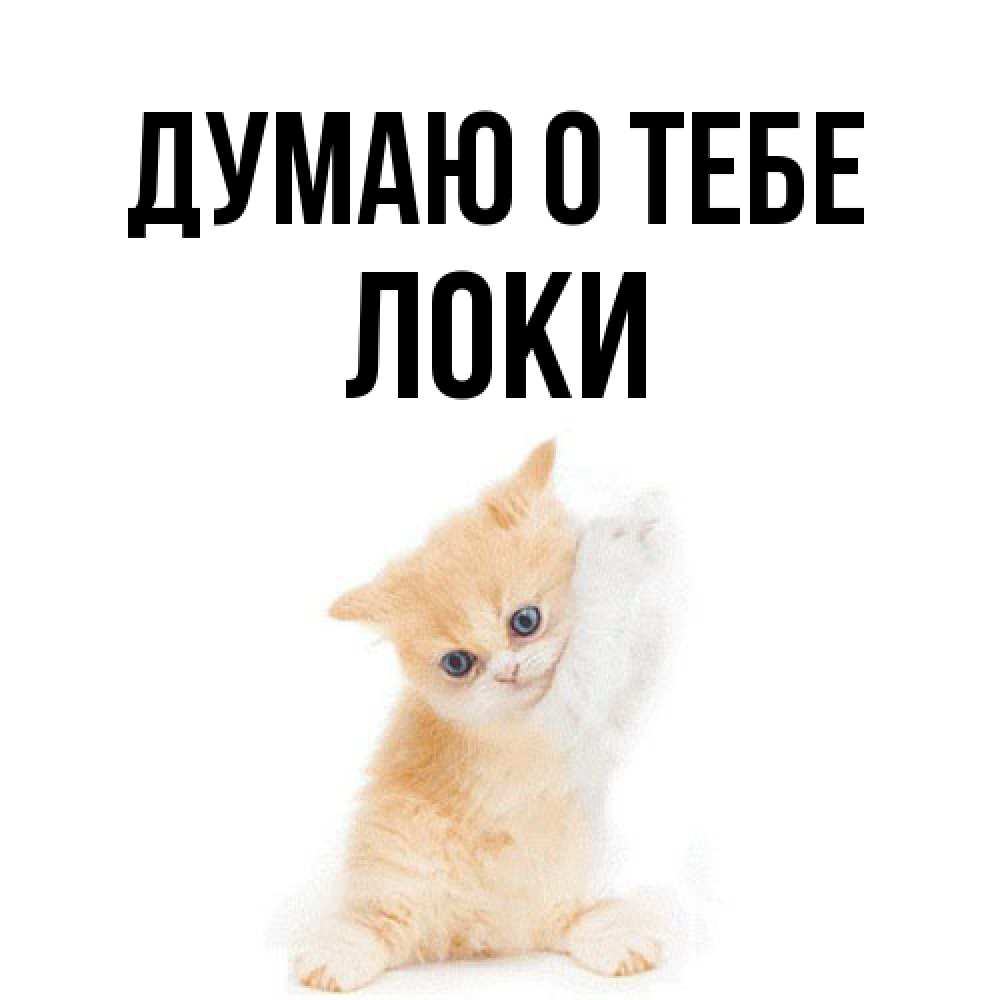 Открытка на каждый день с именем, Локи Думаю о тебе зверушки и милота Прикольная открытка с пожеланием онлайн скачать бесплатно 