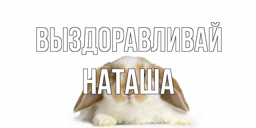 Открытка на каждый день с именем, Наташа Выздоравливай вислоухий кролик белого и коричневого цвета Прикольная открытка с пожеланием онлайн скачать бесплатно 