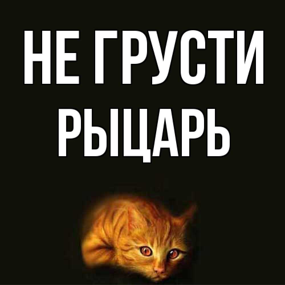 Открытка на каждый день с именем, Рыцарь Не грусти лежащий кот в темноте Прикольная открытка с пожеланием онлайн скачать бесплатно 
