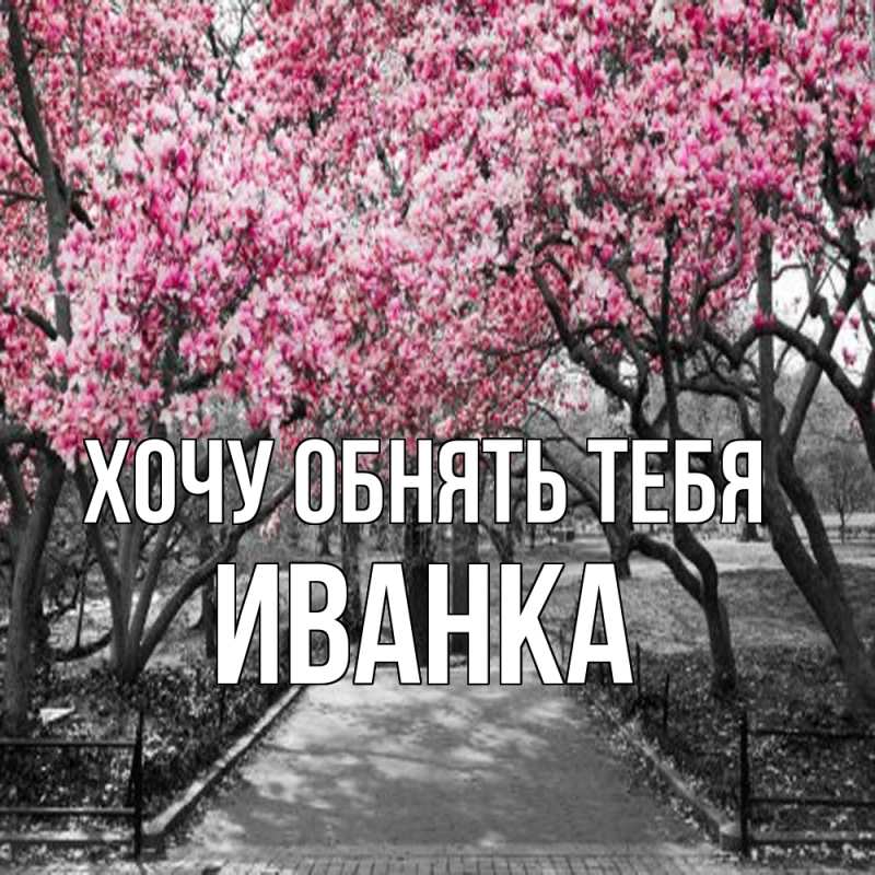 Картинка Хочу обнять тебя, Иванка