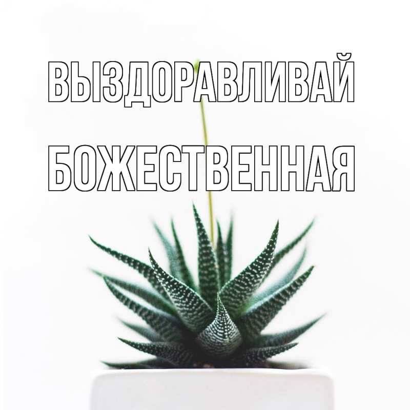 Картинка Выздоравливай, божественная