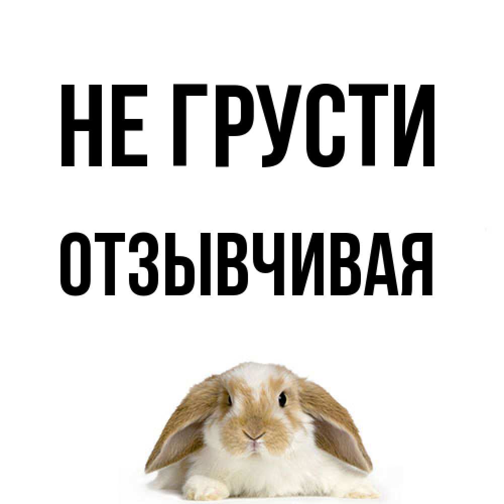 Открытка на каждый день с именем, Отзывчивая Не грусти коричнево белый заяц с большими ушками Прикольная открытка с пожеланием онлайн скачать бесплатно 