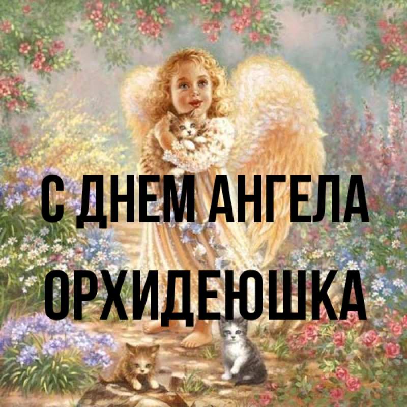 Картинка С днем ангела, Орхидеюшка