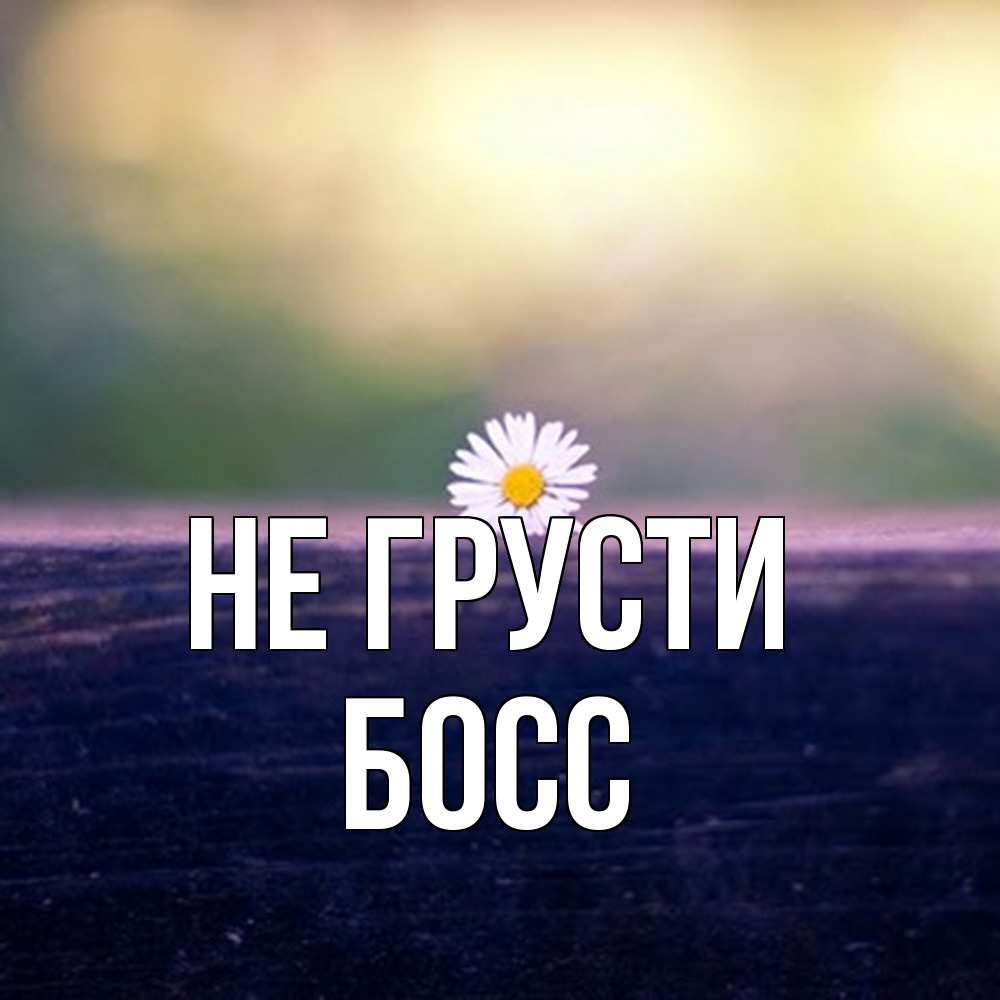 Открытка на каждый день с именем, Босс Не грусти красота Прикольная открытка с пожеланием онлайн скачать бесплатно 