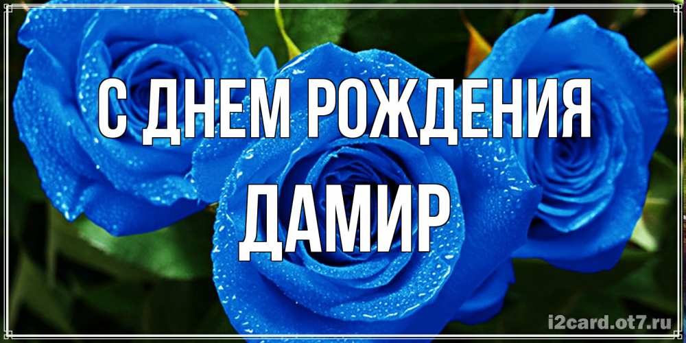 Открытка на каждый день с именем, Дамир С днем рождения розы с синим цветом Прикольная открытка с пожеланием онлайн скачать бесплатно 