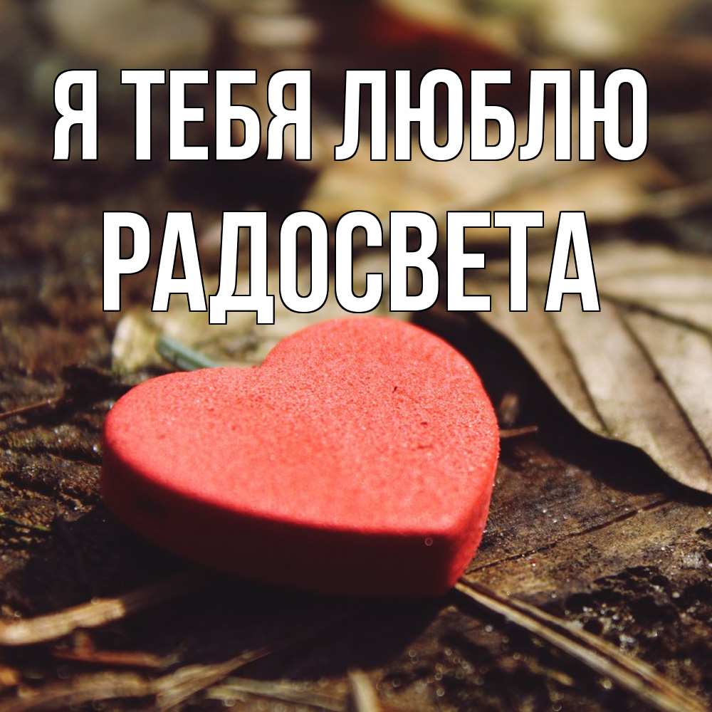 Открытка на каждый день с именем, Радосвета Я тебя люблю листья деревье 4 Прикольная открытка с пожеланием онлайн скачать бесплатно 
