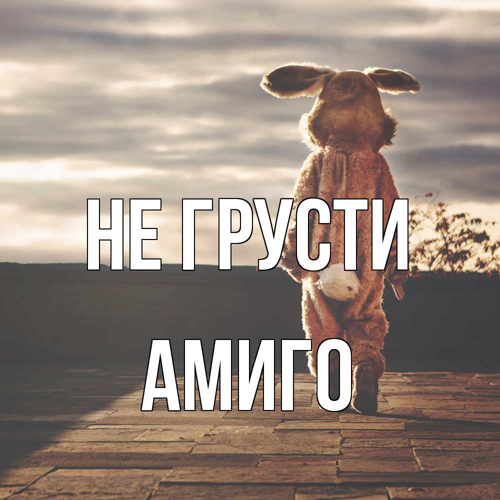 Открытка на каждый день с именем, Амиго Не грусти со спины Прикольная открытка с пожеланием онлайн скачать бесплатно 