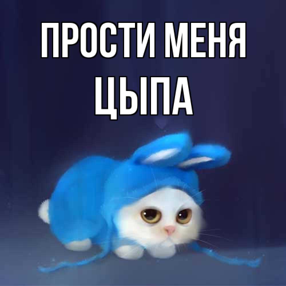 Открытка на каждый день с именем, Цыпа Прости меня невинный котозай просит прощения Прикольная открытка с пожеланием онлайн скачать бесплатно 