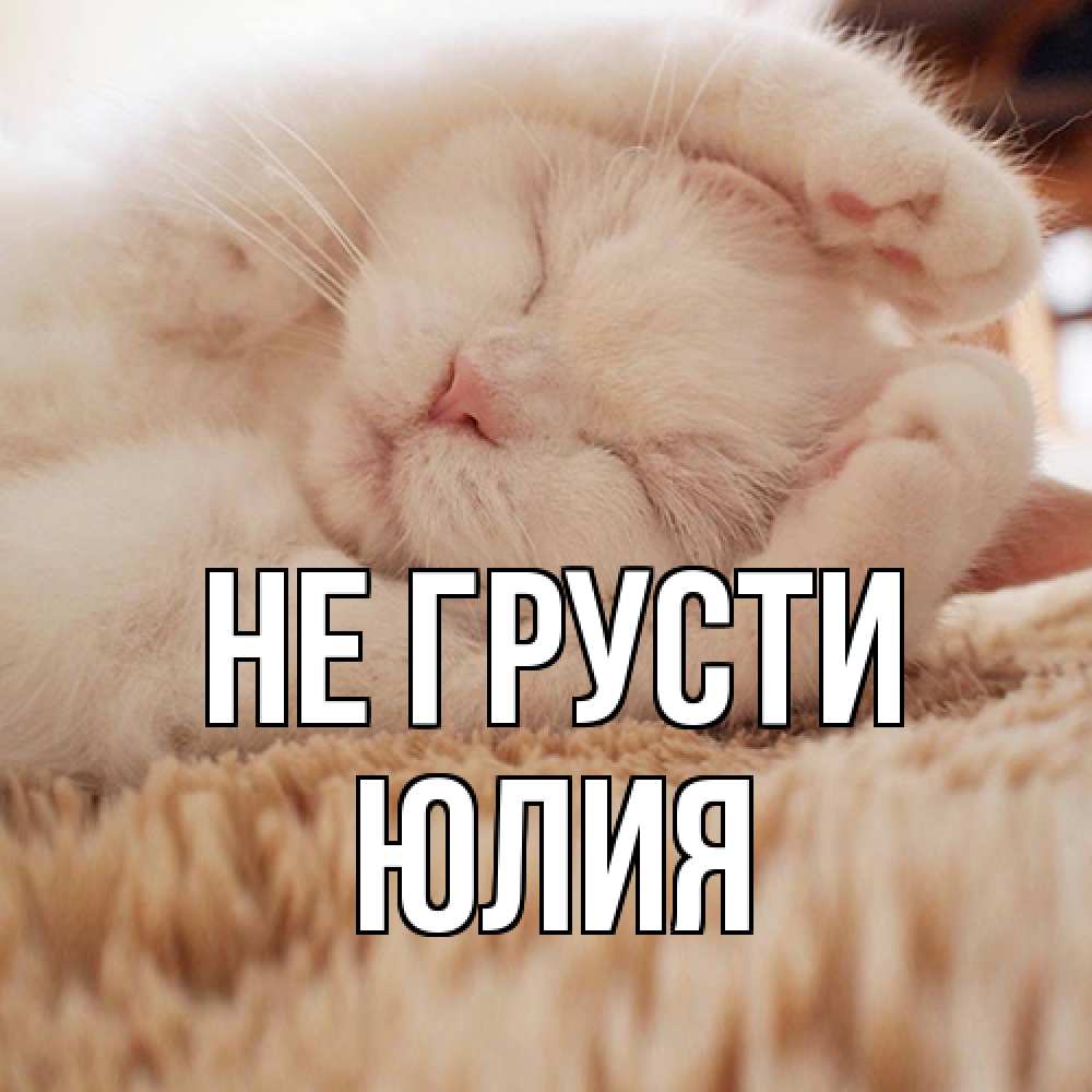 Открытка на каждый день с именем, Юлия Не грусти белый кот Прикольная открытка с пожеланием онлайн скачать бесплатно 