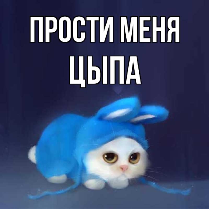 Картинка Прости меня, Цыпа