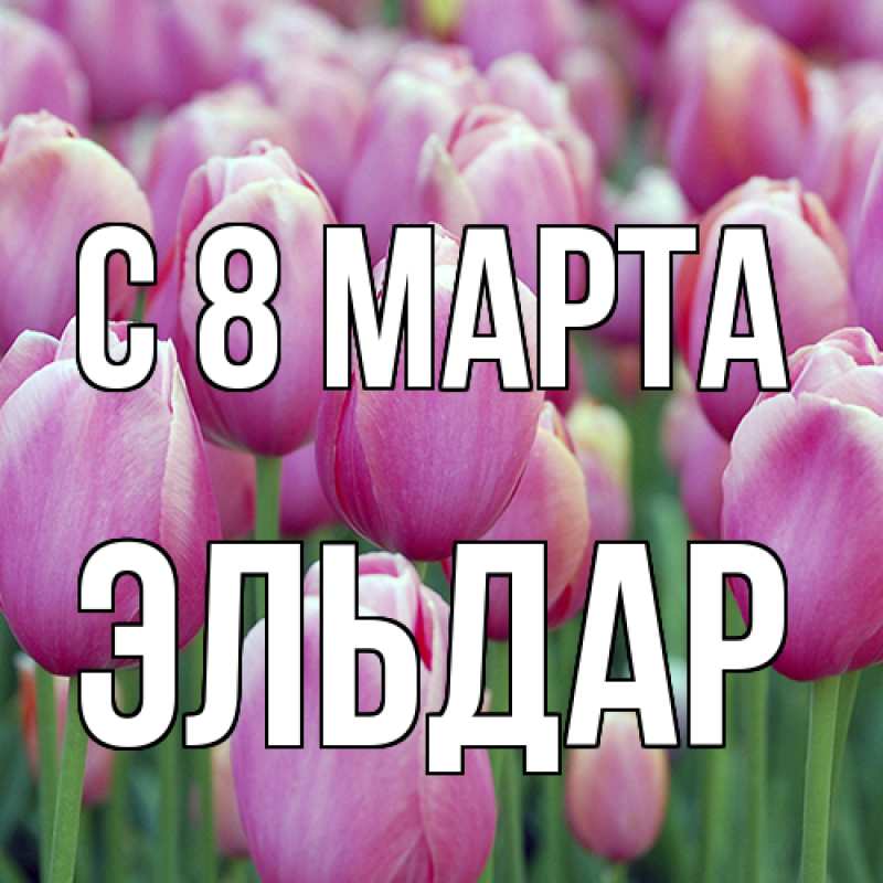 Картинка C 8 МАРТА, Эльдар