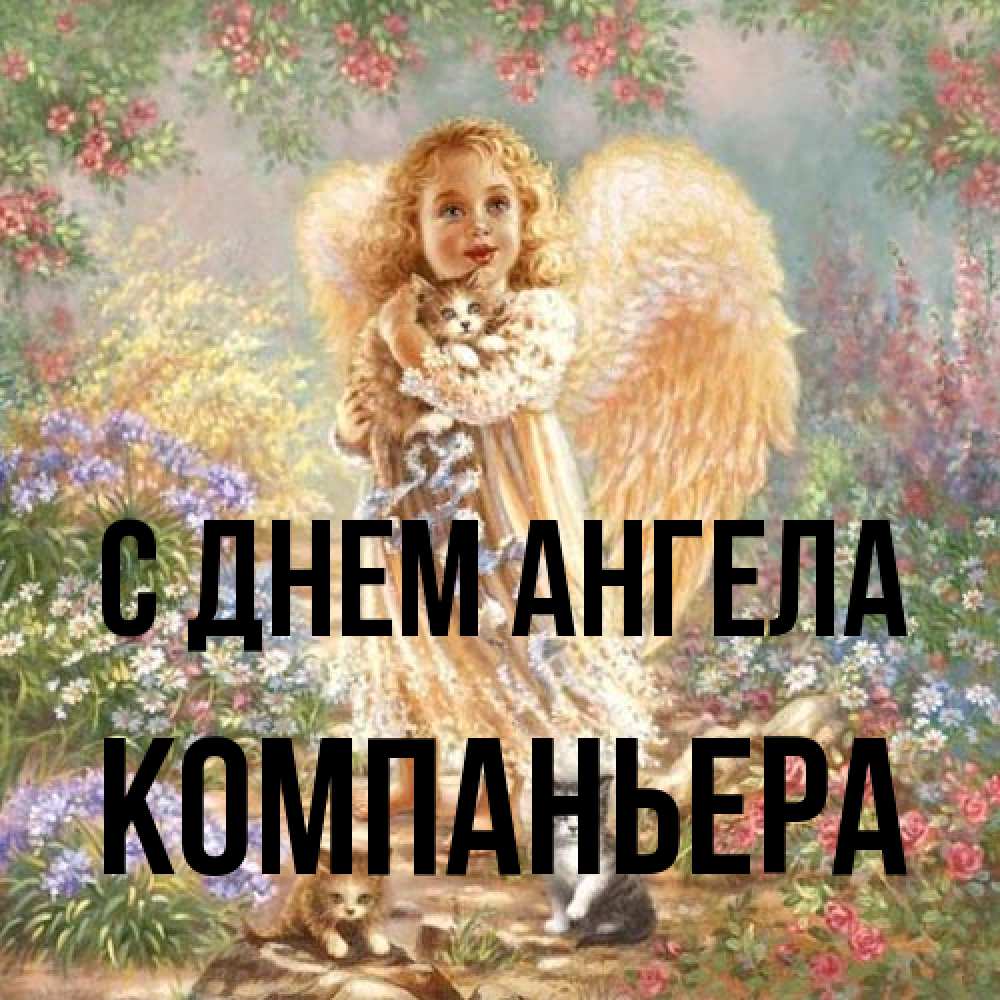 Открытка на каждый день с именем, Компаньера С днем ангела держит котенка Прикольная открытка с пожеланием онлайн скачать бесплатно 