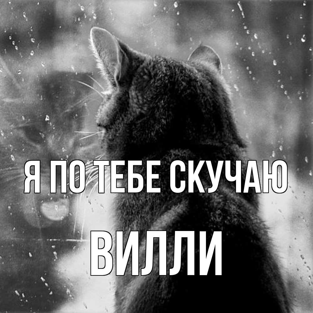 Открытка на каждый день с именем, Вилли Я по тебе скучаю скорее ко мне приходи 1 Прикольная открытка с пожеланием онлайн скачать бесплатно 