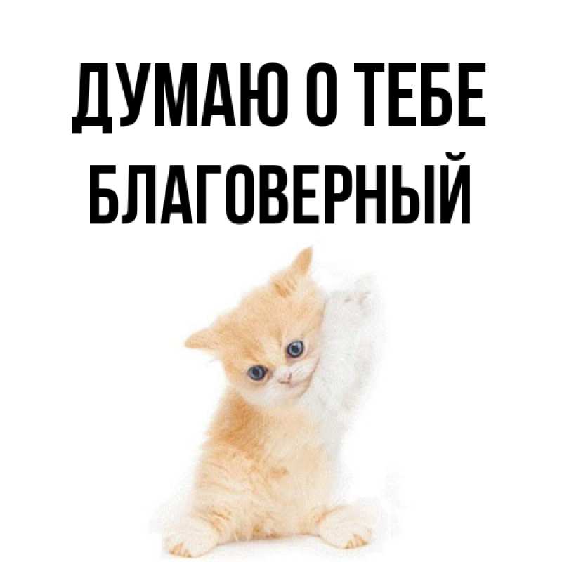 Картинка Думаю о тебе, Благоверный