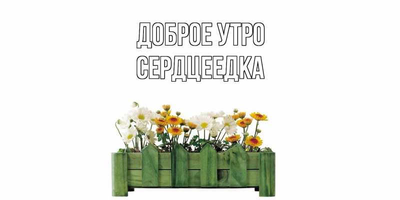 Картинка Доброе утро, сердцеедка