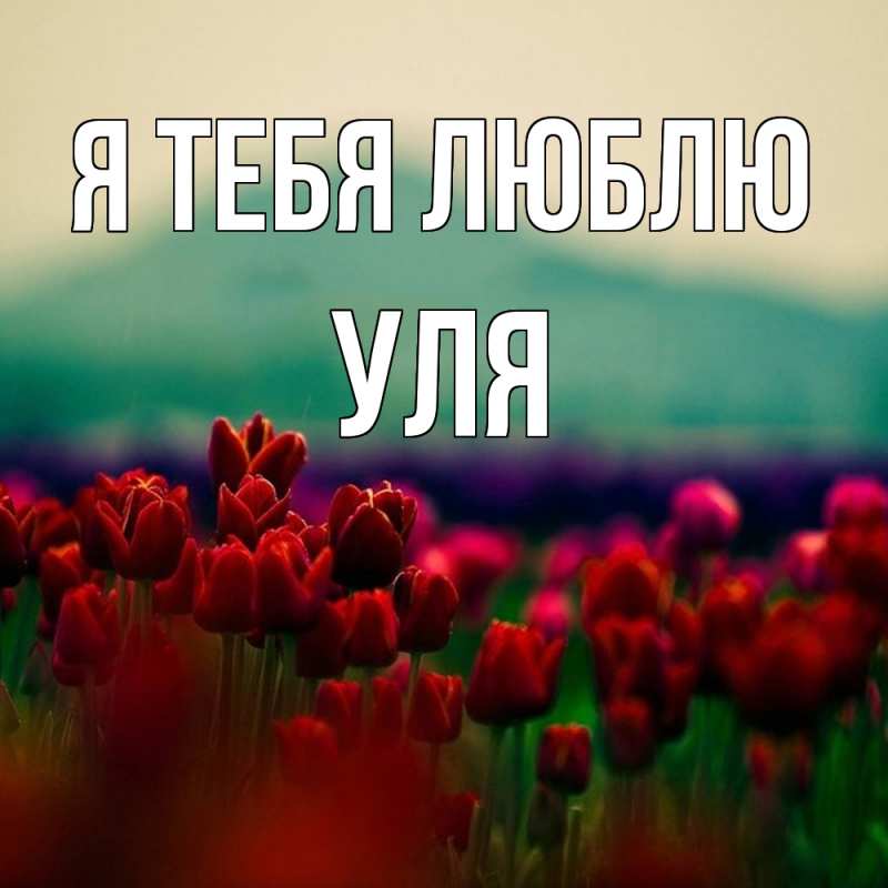 Картинка Я тебя люблю, Уля