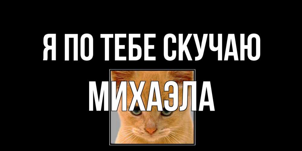 Открытка на каждый день с именем, Михаэла Я по тебе скучаю открытки рыжий котенок скучает по тебе Прикольная открытка с пожеланием онлайн скачать бесплатно 