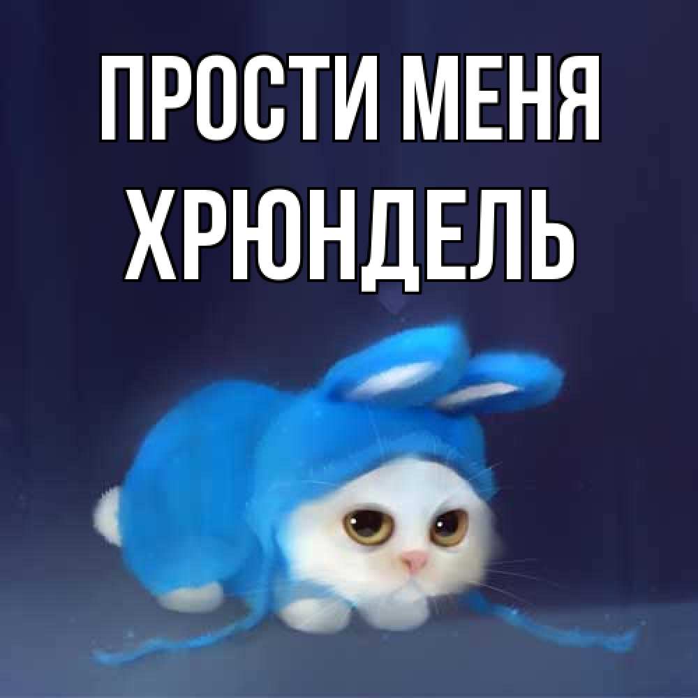 Открытка на каждый день с именем, Хрюндель Прости меня невинный котозай просит прощения Прикольная открытка с пожеланием онлайн скачать бесплатно 