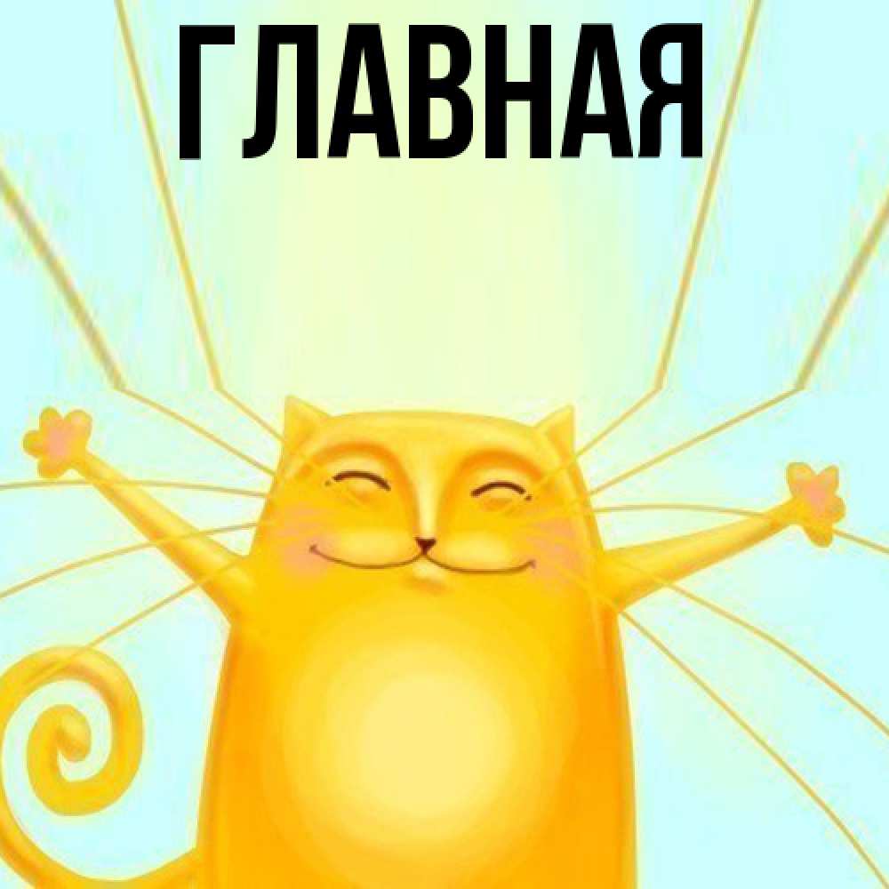 Открытка на каждый день с именем, настя Главная обнимашки усатые Прикольная открытка с пожеланием онлайн скачать бесплатно 