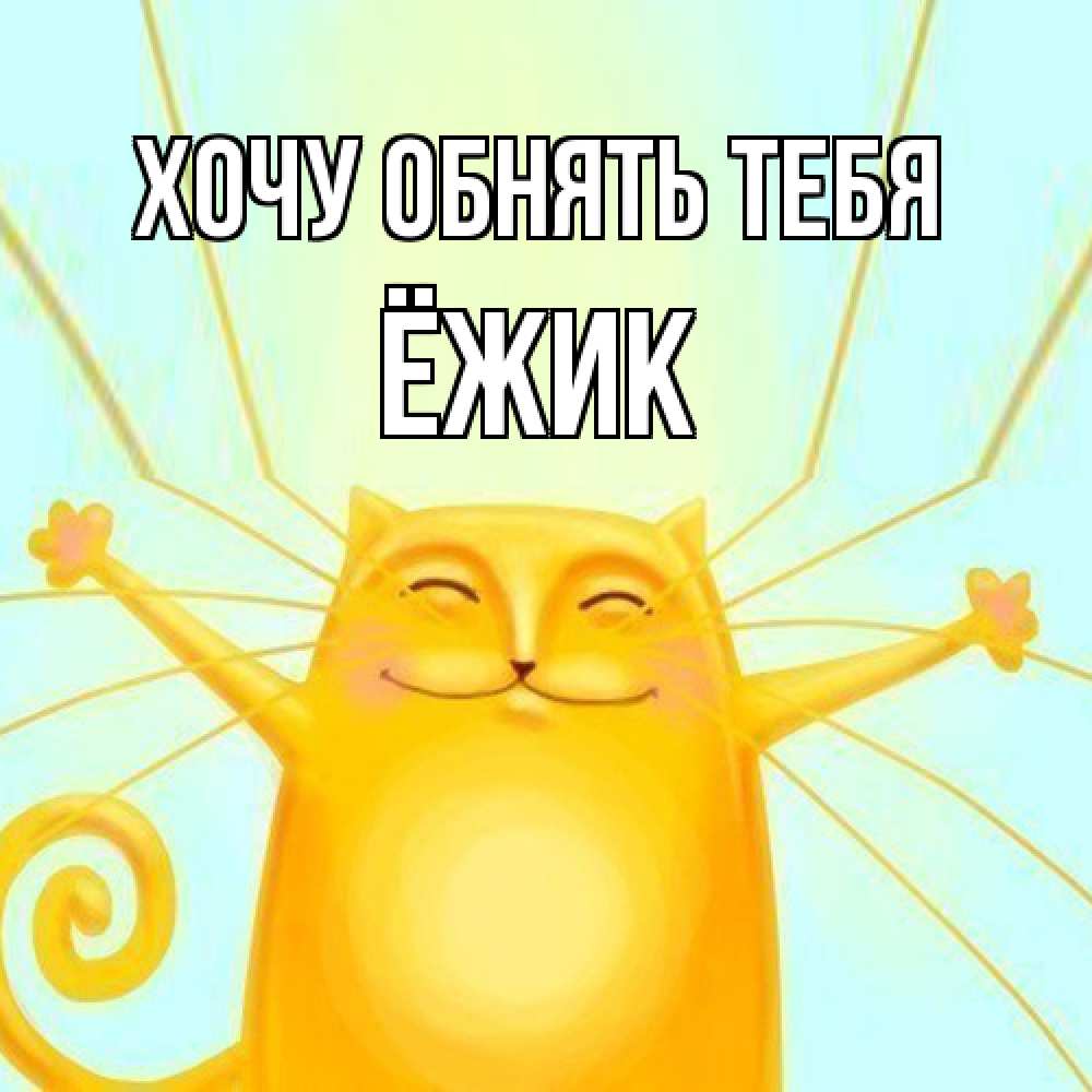 Открытка на каждый день с именем, Ёжик Хочу обнять тебя солнечный обнимашечный кот Прикольная открытка с пожеланием онлайн скачать бесплатно 