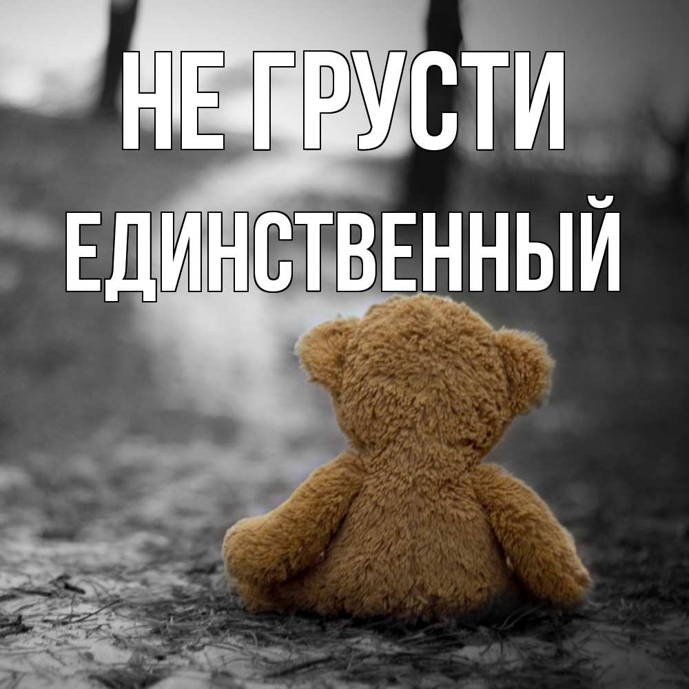 Открытка на каждый день с именем, Единственный Не грусти медведь со спин Прикольная открытка с пожеланием онлайн скачать бесплатно 