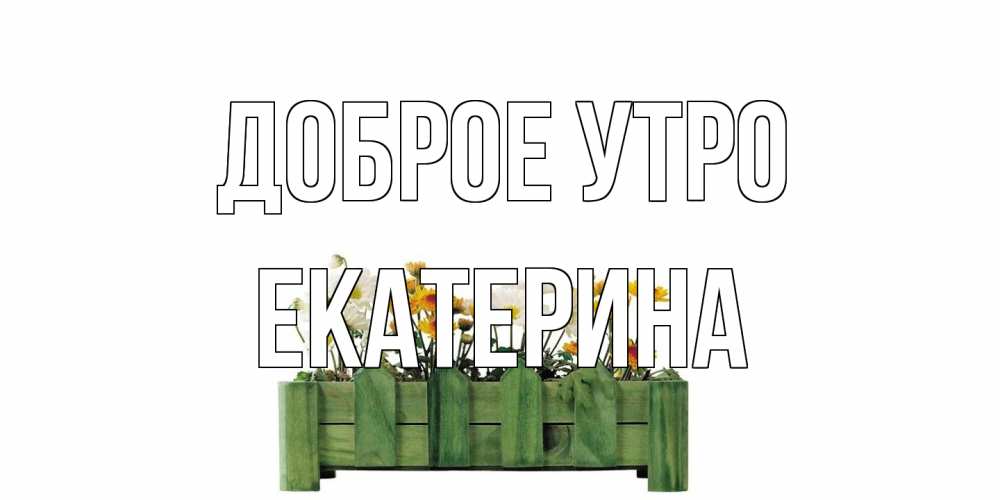Открытка на каждый день с именем, Екатерина Доброе утро цветы Прикольная открытка с пожеланием онлайн скачать бесплатно 