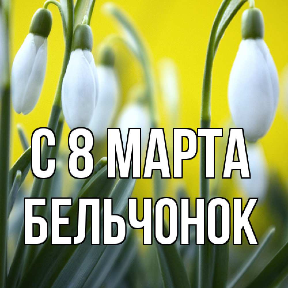 Открытка на каждый день с именем, бельчонок C 8 МАРТА весенние цветы Прикольная открытка с пожеланием онлайн скачать бесплатно 