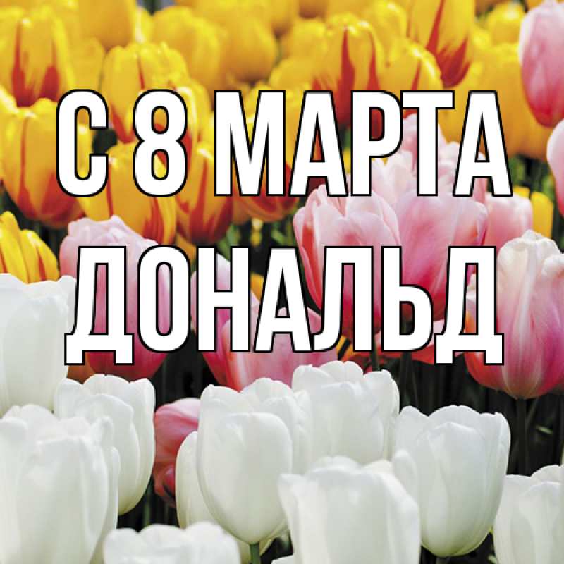 Картинка C 8 МАРТА, Дональд