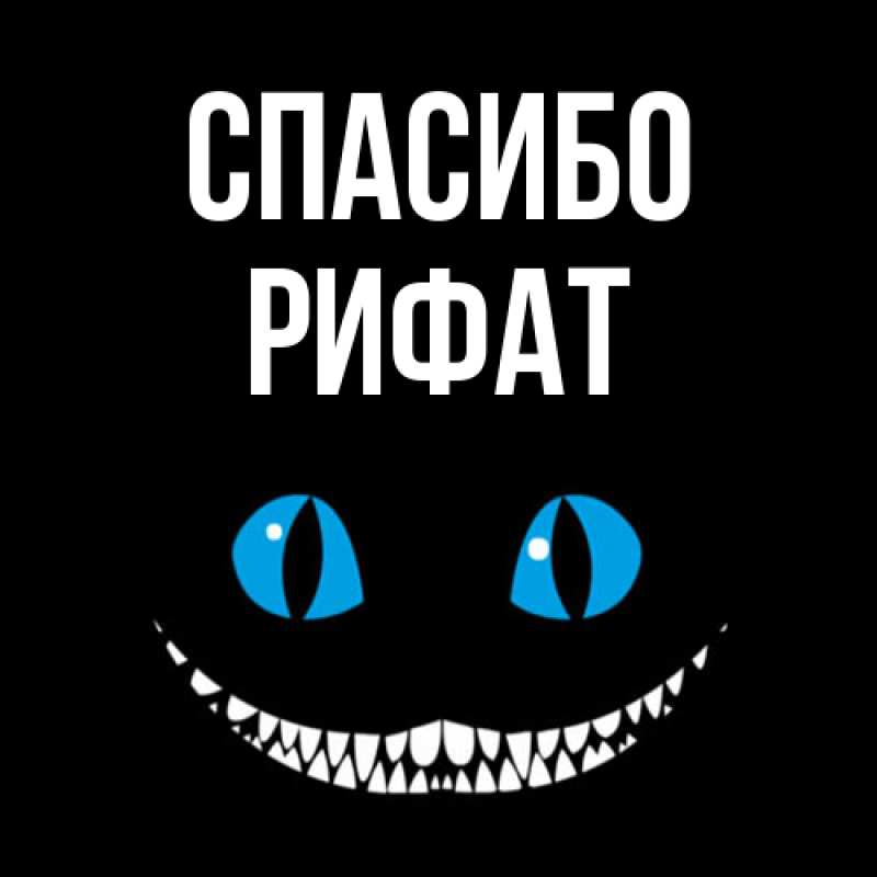 Картинка Спасибо, Рифат