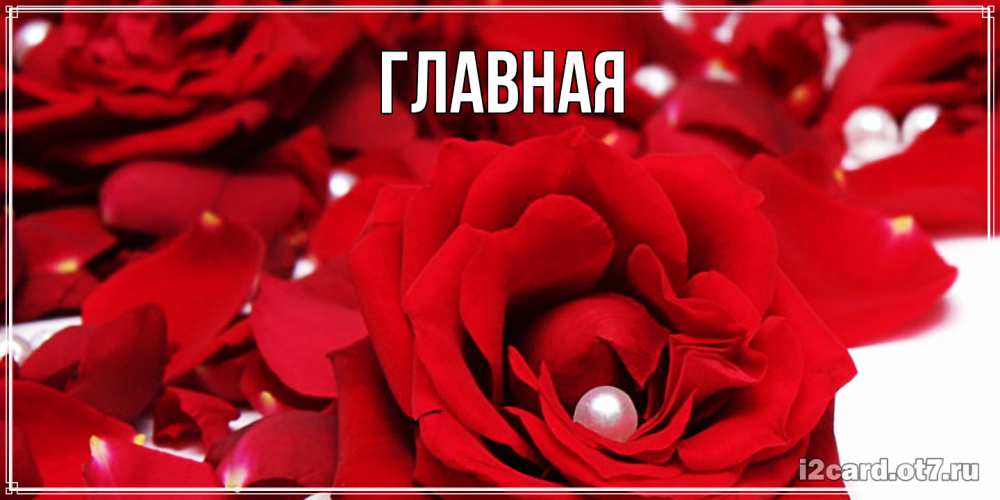 Открытка на каждый день с именем, настя Главная роза с жемчужиной на открытке для любимых Прикольная открытка с пожеланием онлайн скачать бесплатно 