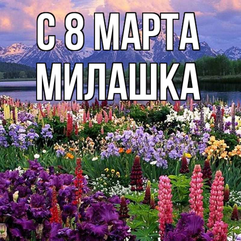 Картинка C 8 МАРТА, Милашка