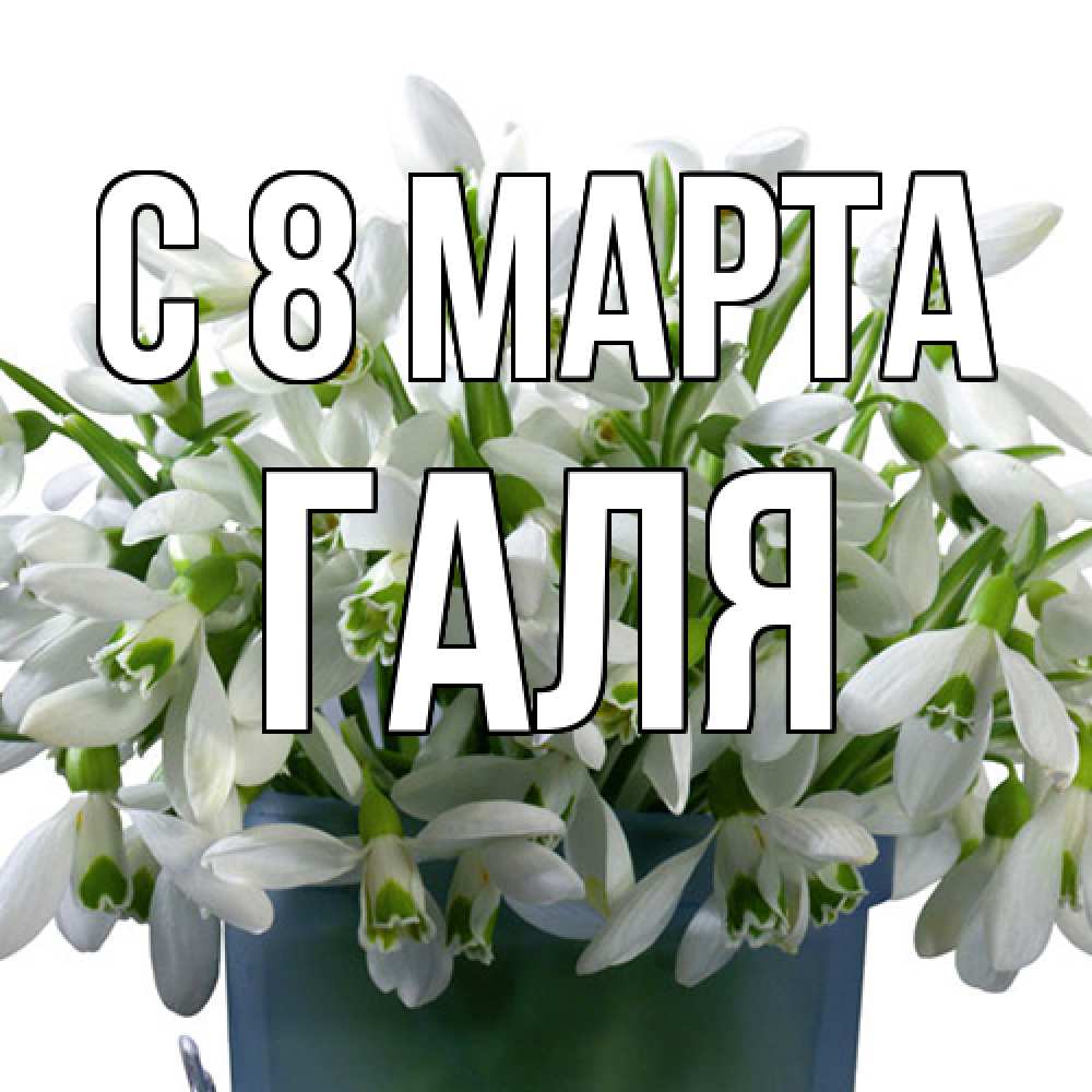 Открытка на каждый день с именем, Галя C 8 МАРТА цветы к международному женскому дню Прикольная открытка с пожеланием онлайн скачать бесплатно 