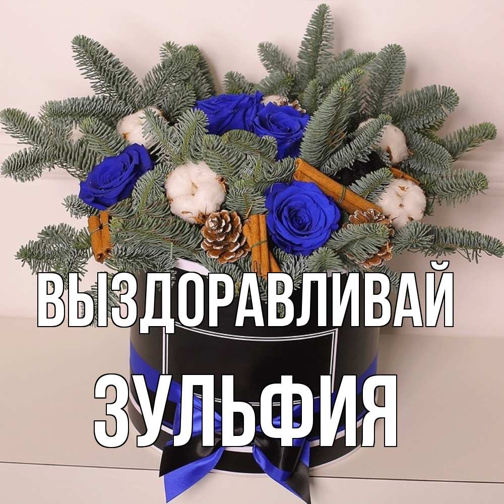 Открытка на каждый день с именем, Зульфия Выздоравливай короче кто то загрузил эти шишки Прикольная открытка с пожеланием онлайн скачать бесплатно 