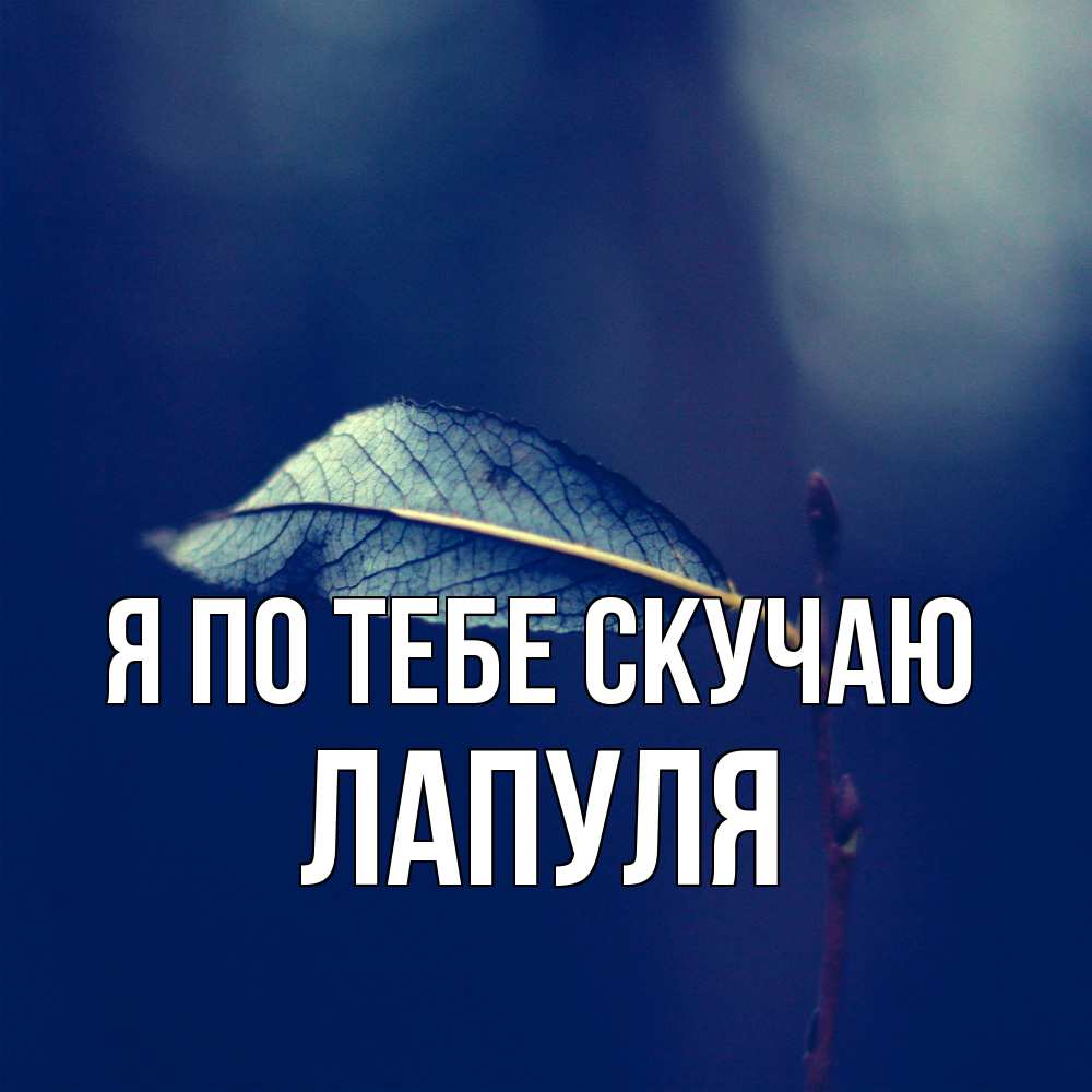 Открытка на каждый день с именем, Лапуля Я по тебе скучаю одна ветка 1 Прикольная открытка с пожеланием онлайн скачать бесплатно 