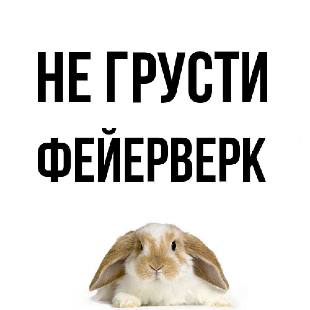 Открытка на каждый день с именем, Фейерверк Не грусти коричнево белый заяц с большими ушками Прикольная открытка с пожеланием онлайн скачать бесплатно 