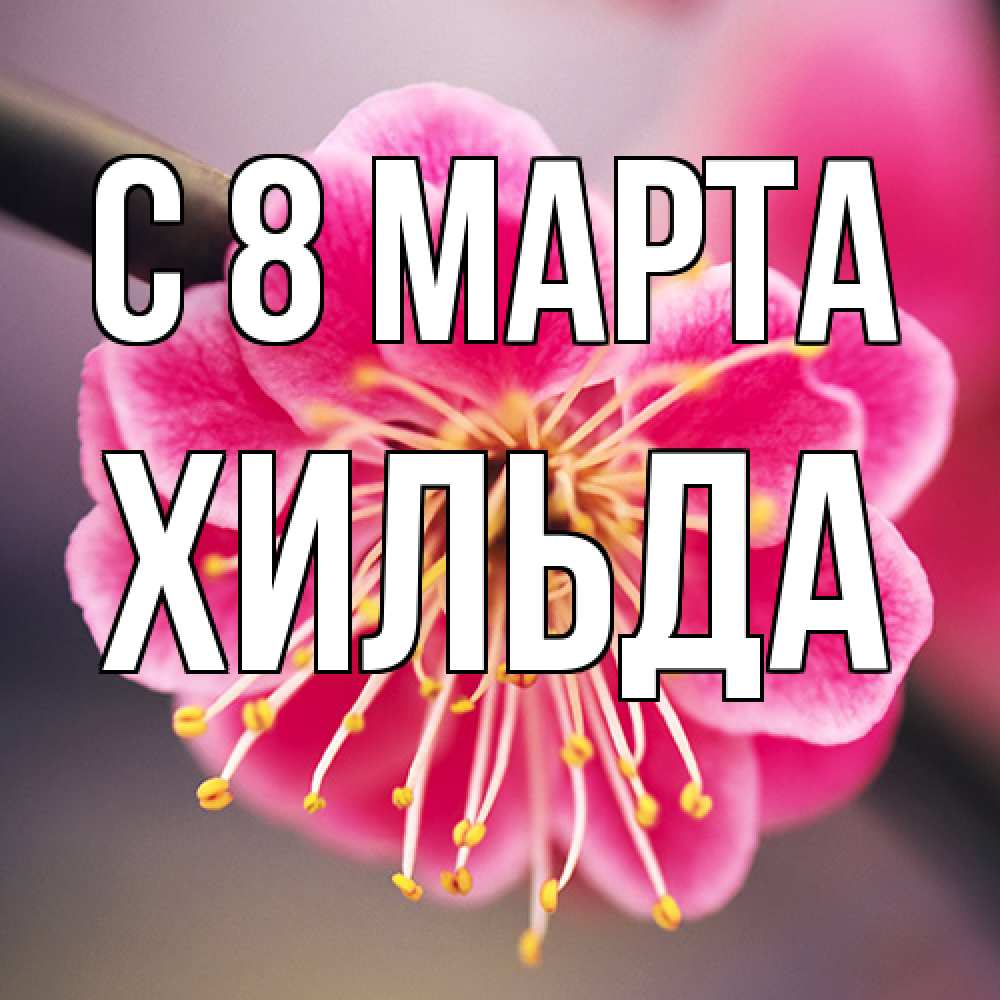 Открытка на каждый день с именем, Хильда C 8 МАРТА цветы Прикольная открытка с пожеланием онлайн скачать бесплатно 