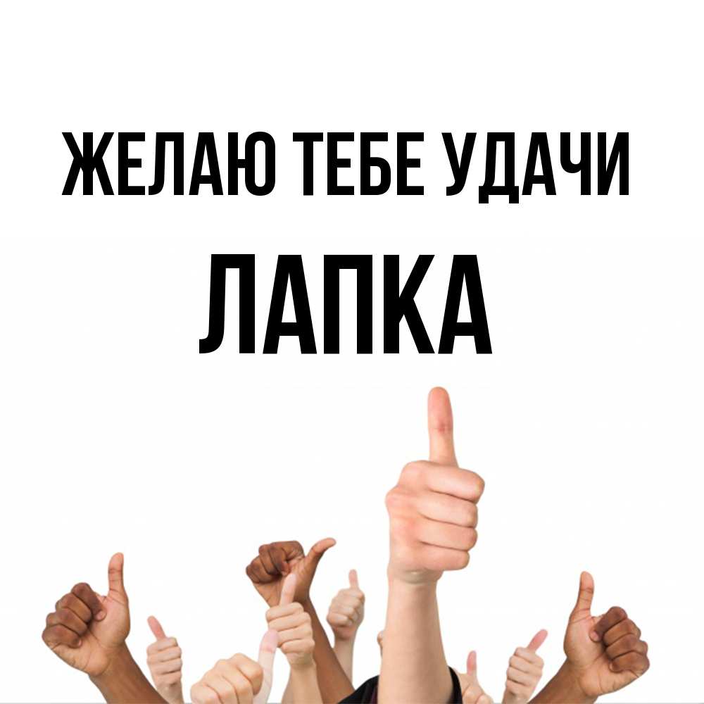 Открытка на каждый день с именем, лапка Желаю тебе удачи молодцом Прикольная открытка с пожеланием онлайн скачать бесплатно 
