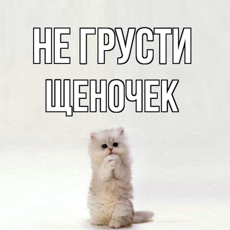 Картинка Не грусти, Щеночек