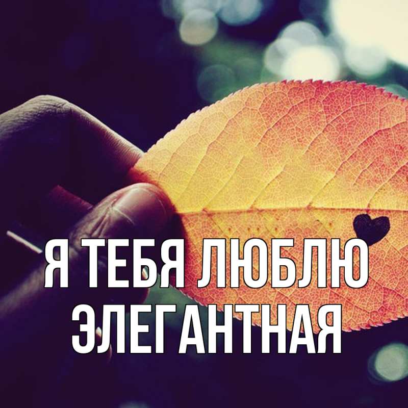 Картинка Я тебя люблю, элегантная
