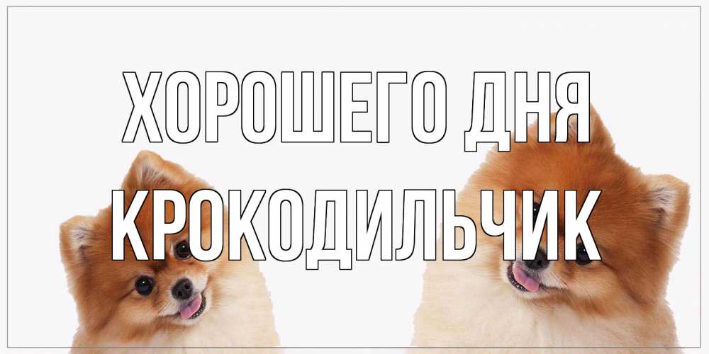 Открытка на каждый день с именем, Крокодильчик Хорошего дня собачки желают прекрасного дня Прикольная открытка с пожеланием онлайн скачать бесплатно 