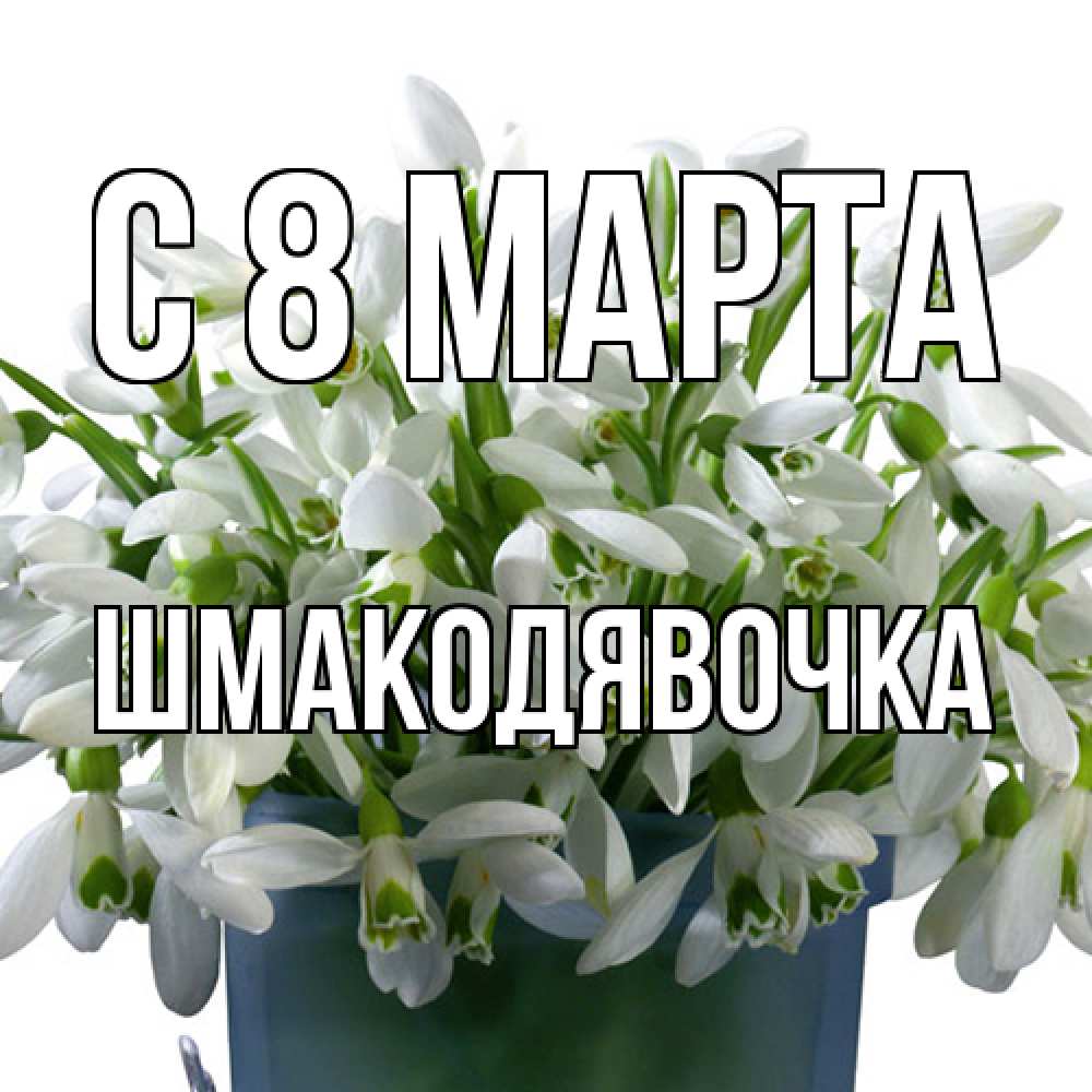 Открытка на каждый день с именем, шмакодявочка C 8 МАРТА цветы к международному женскому дню Прикольная открытка с пожеланием онлайн скачать бесплатно 