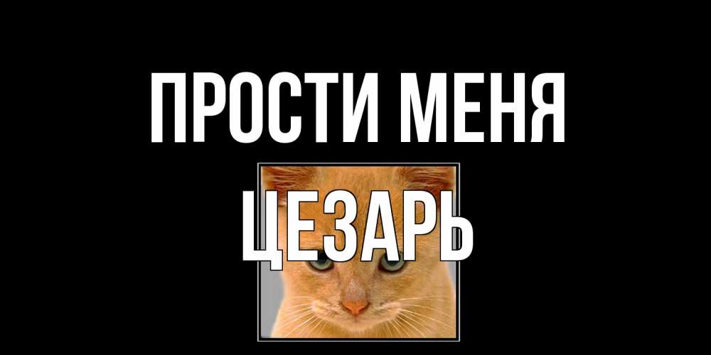 Открытка на каждый день с именем, Цезарь Прости меня рыжий грустный кот просит прощения Прикольная открытка с пожеланием онлайн скачать бесплатно 
