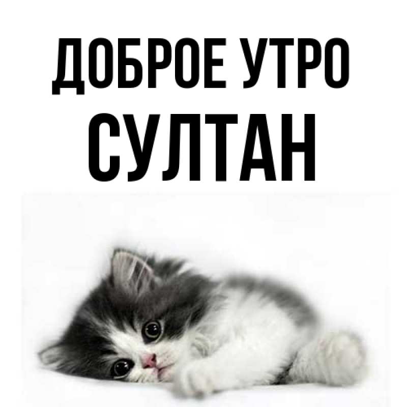 Картинка Доброе утро, Султан